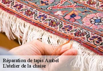 Réparation de tapis  ambel-38970 L'atelier de la chaise