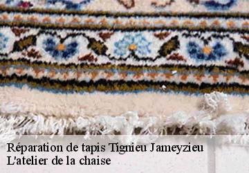 Réparation de tapis  tignieu-jameyzieu-38230 L'atelier de la chaise