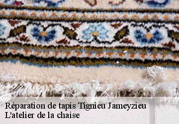 Réparation de tapis  tignieu-jameyzieu-38230 L'atelier de la chaise