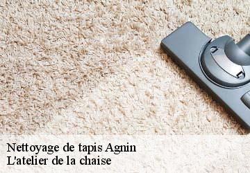 Nettoyage de tapis  agnin-38150 L'atelier de la chaise