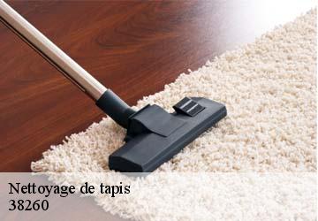 Nettoyage de tapis  arzay-38260 L'atelier de la chaise