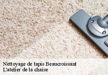 Nettoyage de tapis  beaucroissant-38140 L'atelier de la chaise