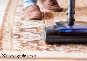 Nettoyage de tapis  bellegarde-poussieu-38270 L'atelier de la chaise