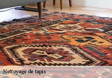 Nettoyage de tapis  bevenais-38690 L'atelier de la chaise