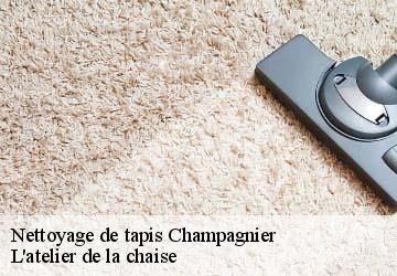 Nettoyage de tapis  champagnier-38800 L'atelier de la chaise