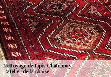 Nettoyage de tapis  chatonnay-38440 L'atelier de la chaise