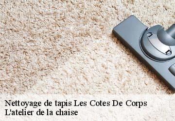 Nettoyage de tapis  les-cotes-de-corps-38970 L'atelier de la chaise