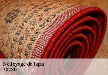 Nettoyage de tapis  janneyrias-38280 L'atelier de la chaise
