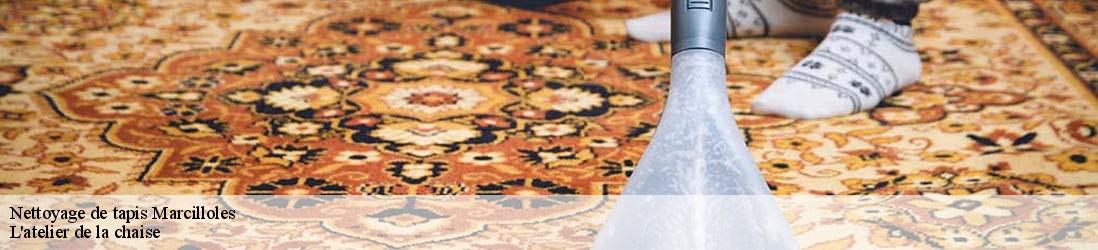 Nettoyage de tapis  marcilloles-38260 L'atelier de la chaise