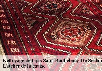 Nettoyage de tapis  saint-barthelemy-de-sechilie-38220 L'atelier de la chaise