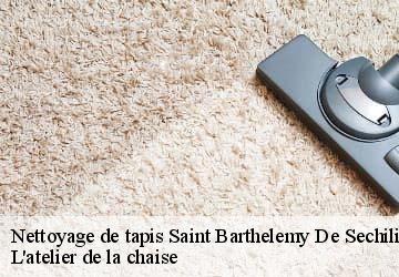 Nettoyage de tapis  saint-barthelemy-de-sechilie-38220 L'atelier de la chaise