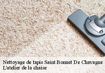 Nettoyage de tapis  saint-bonnet-de-chavagne-38840 L'atelier de la chaise