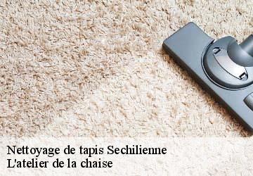 Nettoyage de tapis  sechilienne-38220 L'atelier de la chaise