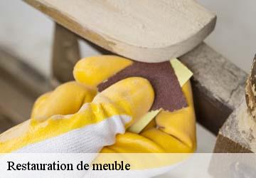 Restauration de meuble  brie-et-angonnes-38320 L'atelier de la chaise