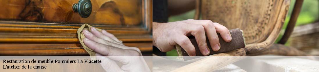 Restauration de meuble  pommiers-la-placette-38340 L'atelier de la chaise