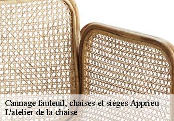 Cannage fauteuil, chaises et sièges  apprieu-38140 L'atelier de la chaise