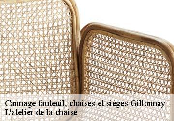 Cannage fauteuil, chaises et sièges  gillonnay-38260 L'atelier de la chaise