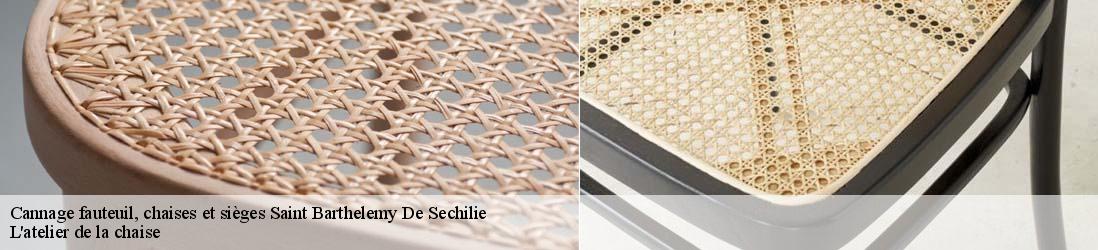 Cannage fauteuil, chaises et sièges  saint-barthelemy-de-sechilie-38220 L'atelier de la chaise