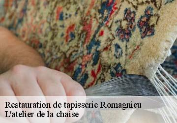 Restauration de tapisserie  romagnieu-38480 L'atelier de la chaise