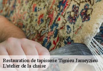 Restauration de tapisserie  tignieu-jameyzieu-38230 L'atelier de la chaise